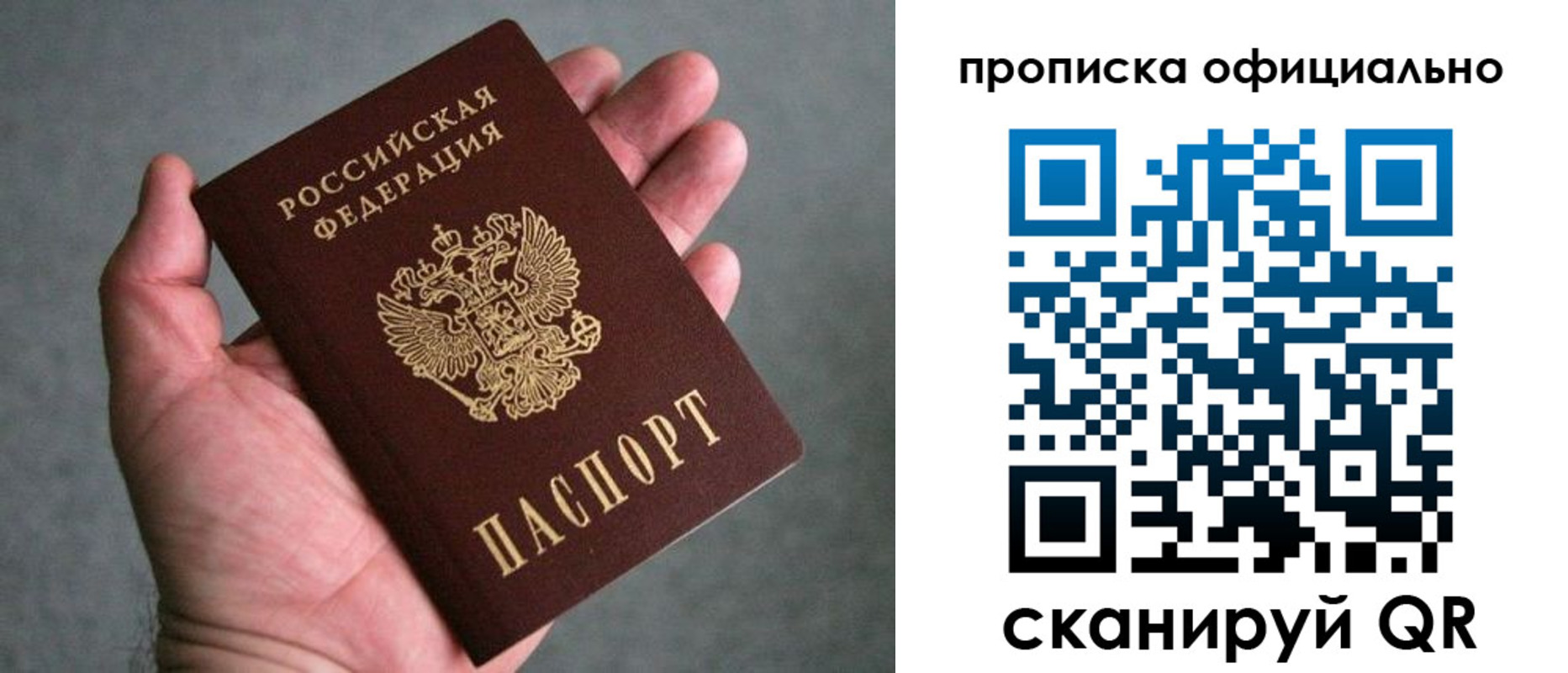 прописка гарантия в Камышине